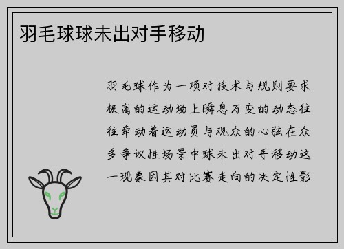 羽毛球球未出对手移动